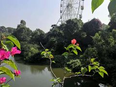 -观澜湖生态运动公社