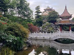 -顺峰山公园