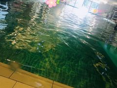 -BlueBubble蓝泡泡婴幼儿游泳会所(合川路店)
