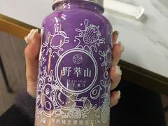 -野萃山·潮汕厚果汁(十亩地店)