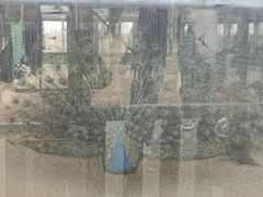 -羊亭河湿地公园