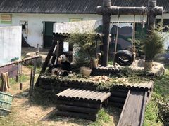 -无锡动物园·太湖欢乐园