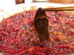红汤锅底-大龙火锅(老店)