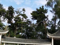 -小南山公园