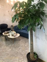 -时尚玩家发型设计