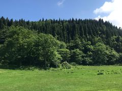 -武陵山森林公园