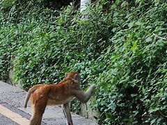 -黔灵山公园