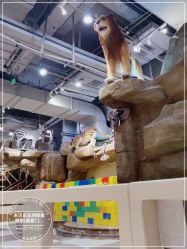 -鲁比猴非洲探索部落(喜盈门店)