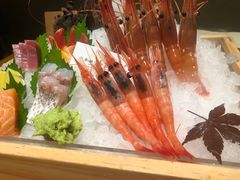 -月龍吟(朝龙汇店)