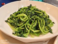-荟廷·晶萃(陆家嘴尚悦湾店)