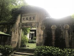 -十八棵（老龙井）御茶园(老龙井店)