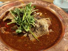 -友乐居羊蝎子(西直门店)