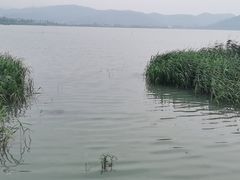 -湖山人家·湖景餐厅·特色农家菜(太湖西山店)