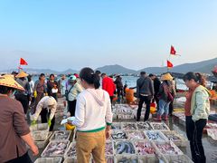 -蓝湾碧波·老字号·疍家非遗海上餐厅