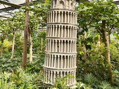 -南宫五洲植物乐园