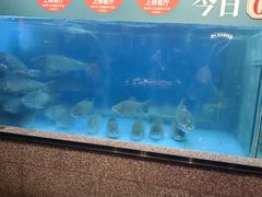 -淘米捞·米汤脆鲩鱼火锅(福田皇岗店)