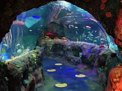 -沈阳海洋探索中心