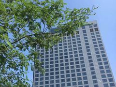 -上海浦东康桥绿地假日酒店