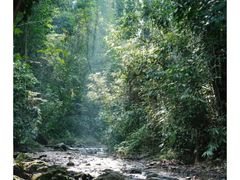 -西双版纳傣族园