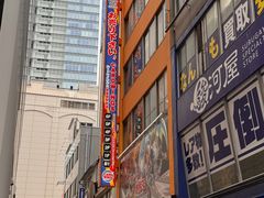 -秋叶原电器街