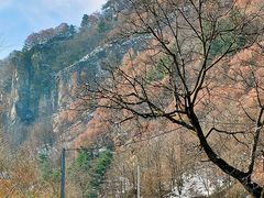 -秦岭风景区