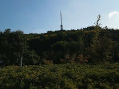 -赭山公园