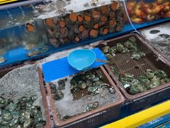 -西归浦每天偶来市场