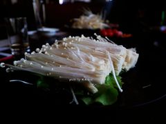 -渝涯重庆豆花老火锅(中赢国际店)