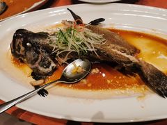 -船歌·鱼水饺青岛菜(闽江二路店)