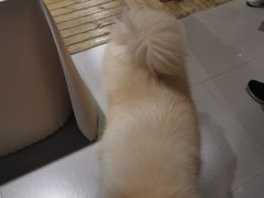 -肆兮眼镜·蔡司·徕卡战略合作店(大坪店)