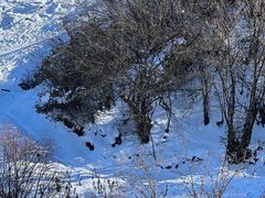 -太子岭滑雪场