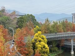 -福道