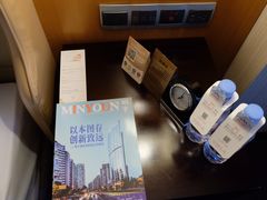 -成都明宇丽雅饭店