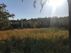 -滨河世纪广场公园