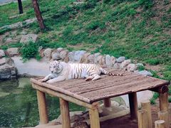 -石家庄市动物园