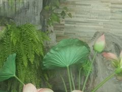 -福阳·足道养生会所(远大路店)