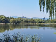 -北坞公园