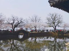 -无锡蠡湖国家湿地公园-蠡园