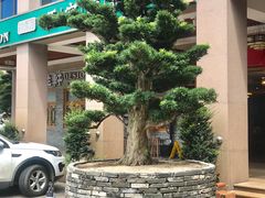 景观位-德胜轩正宗顺德菜(宝安沙井会展中心店)