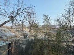 -巴巴新生活·四合院会议·疗愈团建.品牌活动