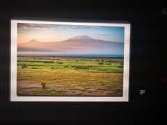 -罗红摄影艺术馆