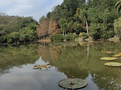 -中国科学院西双版纳热带植物园