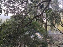 -天台山景区