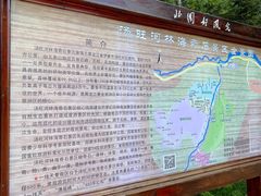 -汤旺河林海奇石景区