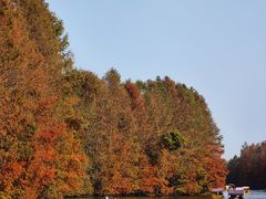 -上海海湾国家森林公园