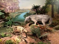 -湖南省地质博物馆