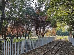 -祥源·阜阳生态乐园