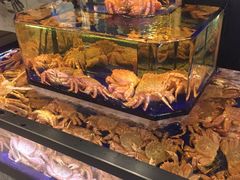 -蟹道乐(道顿堀本店)