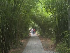-堤角公园