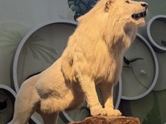 -陕西自然博物馆